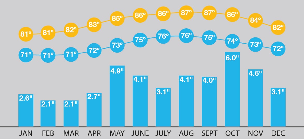Forecasting Your Punta Cana Vacation